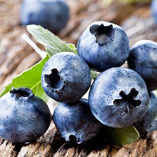 Blueberries deal breast cancer tumors in mice a serious blow