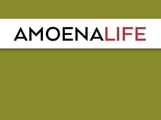 amoena life magazine fall 2016