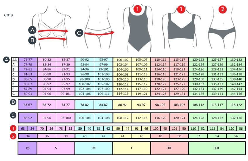 Bra Cup Size Measurement Chart