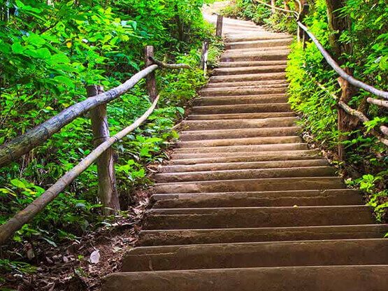 Stepping Up: Notable New Strides in Breast Cancer Support