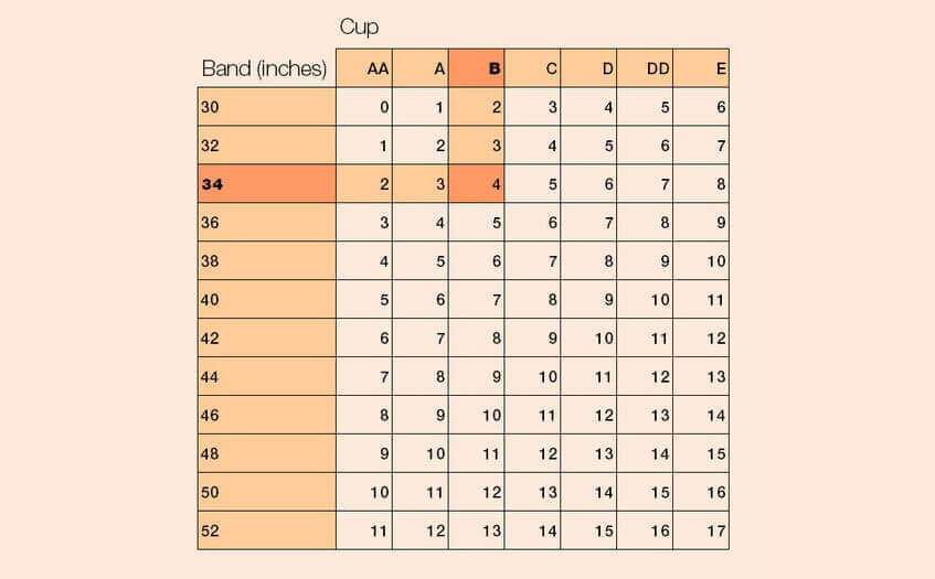 Breast form conversion chart