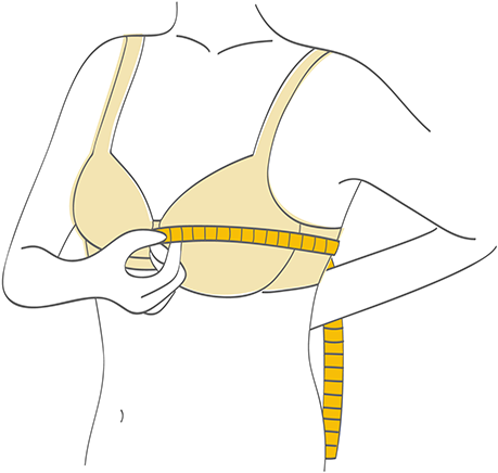 Underbust measurement